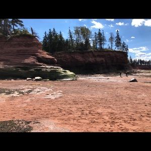 Meet your Posher, Shauna